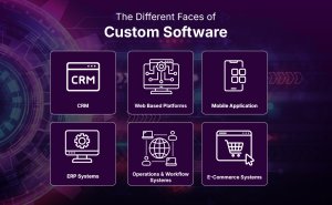 The different faces of Custom software